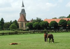 Dorfkirche im Hintergrund